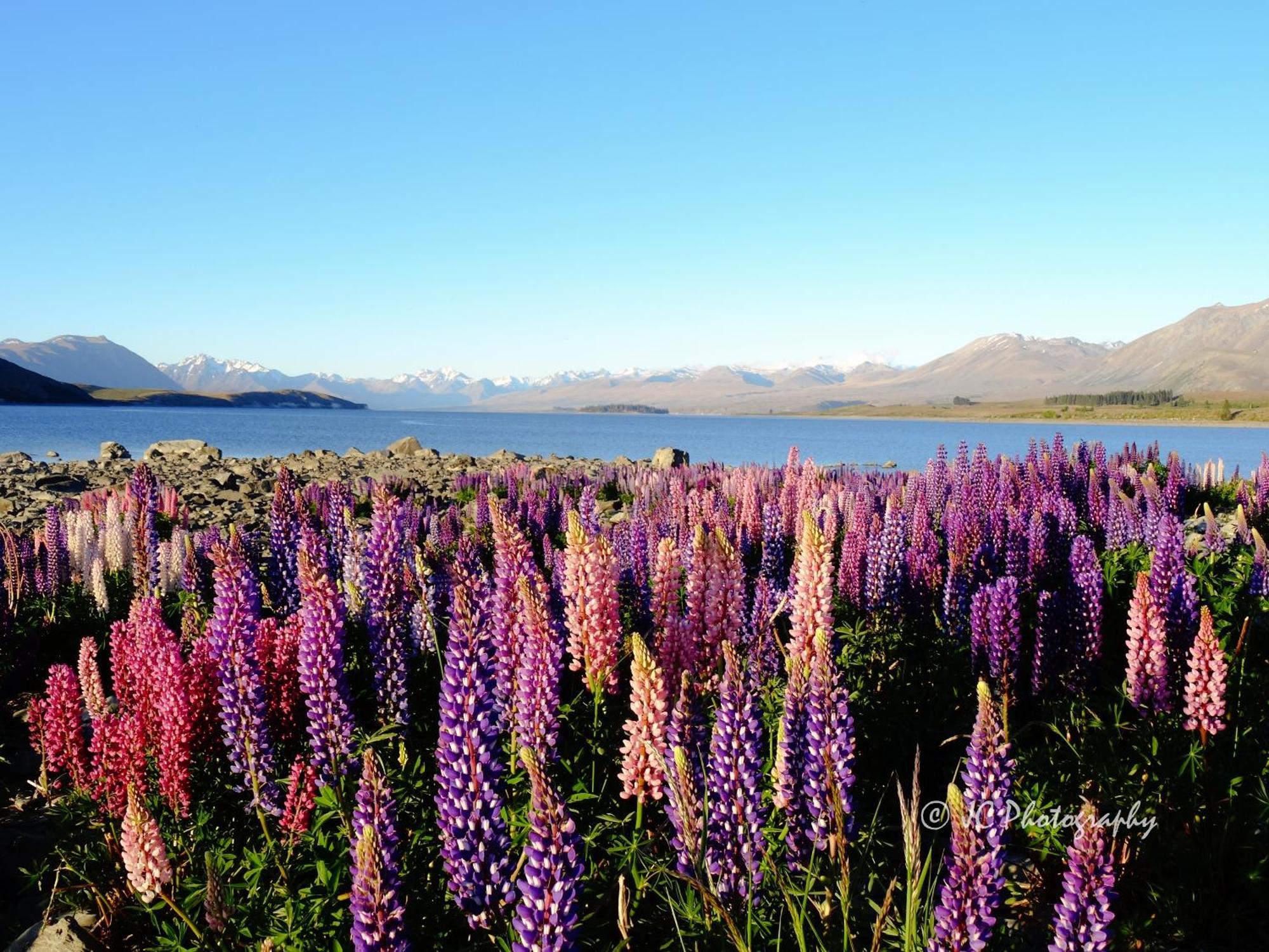 Tekapo Luxury Apartments Lake Tekapo Exteriér fotografie